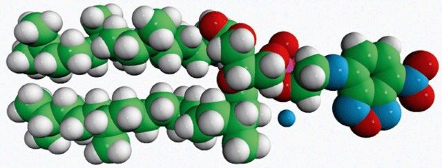 4ME 16:0 NBD PE (NBD-DPhPE)