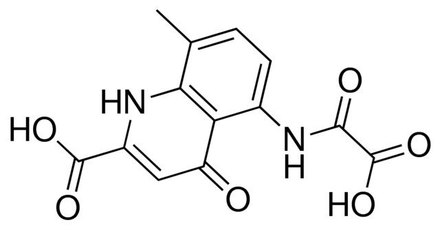 5-[(carboxycarbonyl)amino]-8-methyl-4-oxo-1,4-dihydro-2-quinolinecarboxylic acid