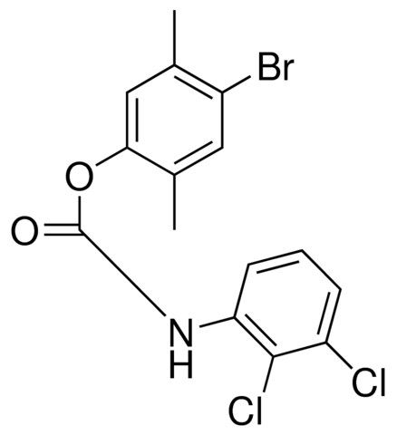 4-BROMO-2,5-DIMETHYLPHENYL N-(2,3-DICHLOROPHENYL)CARBAMATE