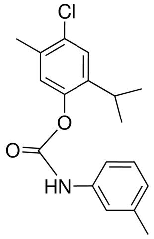 4-CHLORO-2-ISOPROPYL-5-METHYLPHENYL N-(M-TOLYL)CARBAMATE