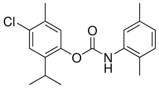 4-CHLORO-2-ISOPROPYL-5-METHYLPHENYL N-(2,5-XYLYL)CARBAMATE