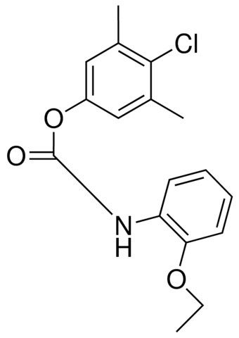 4-CHLORO-3,5-DIMETHYLPHENYL N-(2-ETHOXYPHENYL)CARBAMATE