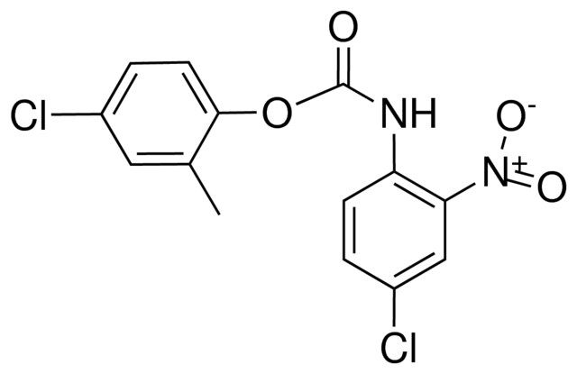 4-CHLORO-2-METHYLPHENYL N-(4-CHLORO-2-NITROPHENYL)CARBAMATE