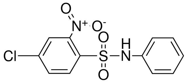 4-CHLORO-2-NITRO-N-PHENYL-BENZENESULFONAMIDE