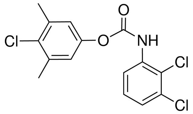 4-CHLORO-3,5-DIMETHYLPHENYL N-(2,3-DICHLOROPHENYL)CARBAMATE