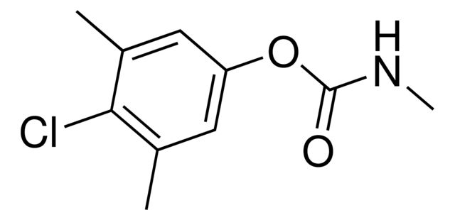 4-Chloro-3,5-dimethylphenyl methylcarbamate