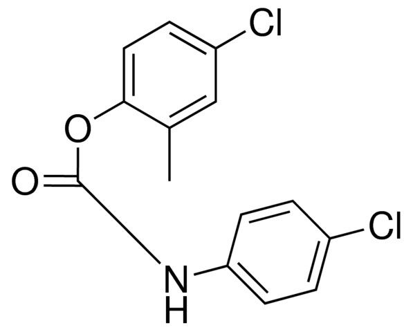 4-CHLORO-2-METHYLPHENYL N-(4-CHLOROPHENYL)CARBAMATE