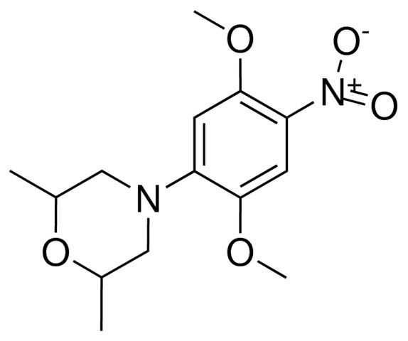 4-(2,5-DIMETHOXY-4-NITROPHENYL)-2,6-DIMETHYLMORPHOLINE