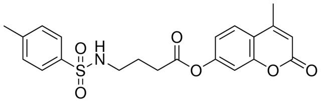 4-(TOLUENE-4-SULFONYLAMINO)-BUTYRIC ACID 4-METHYL-2-OXO-2H-CHROMEN-7-YL ESTER