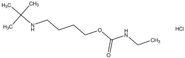 4-(tert-butylamino)butyl ethylcarbamate hydrochloride