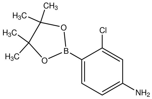 4-Amino-2-chlorophenylboronic acid pinacol ester