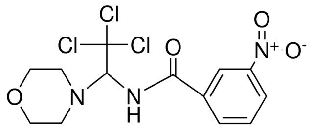 3-NITRO-N-(2,2,2-TRICHLORO-1-MORPHOLIN-4-YL-ETHYL)-BENZAMIDE