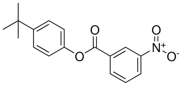 3-NITRO-BENZOIC ACID 4-TERT-BUTYL-PHENYL ESTER