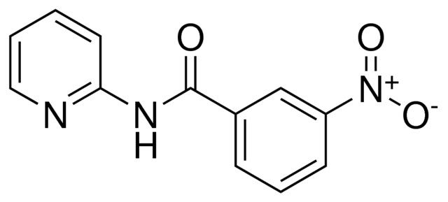 3-NITRO-N-(2-PYRIDINYL)BENZAMIDE