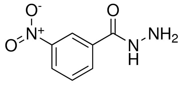 3-NITROBENZOIC ACID HYDRAZIDE