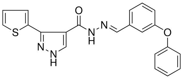 3-THIOPHEN-2-YL-1H-PYRAZOLE-4-CARBOXYLIC ACID (3-PHENOXY-BENZYLIDENE)-HYDRAZIDE