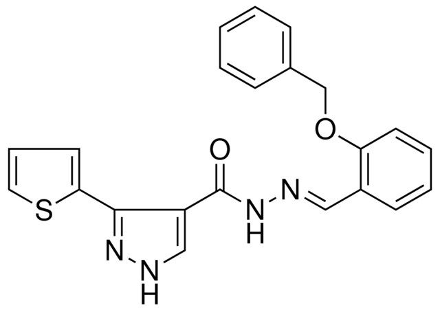 3-THIOPHEN-2-YL-1H-PYRAZOLE-4-CARBOXYLIC ACID (2-BENZYLOXY-BENZYLIDENE)HYDRAZIDE