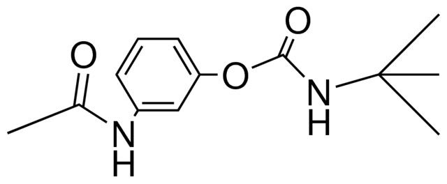 3-ACETAMIDOPHENYL N-(TERT-BUTYL)CARBAMATE