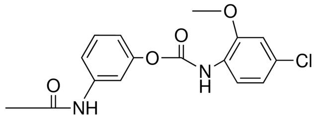 3-ACETAMIDOPHENYL N-(4-CHLORO-2-METHOXYPHENYL)CARBAMATE