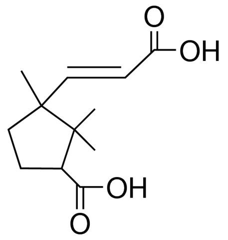 3-CARBOXY-1,2,2-TRIMETHYLCYCLOPENTANEACRYLIC ACID