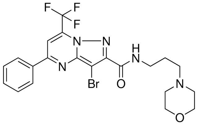 3-BROMO-N-[3-(4-MORPHOLINYL)PROPYL]-5-PHENYL-7-(TRIFLUOROMETHYL)PYRAZOLO[1,5-A]PYRIMIDINE-2-CARBOXAMIDE