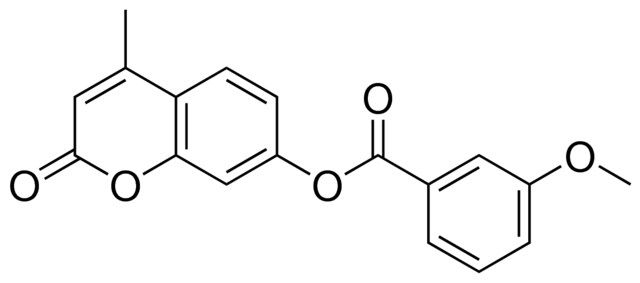 3-METHOXY-BENZOIC ACID 4-METHYL-2-OXO-2H-CHROMEN-7-YL ESTER