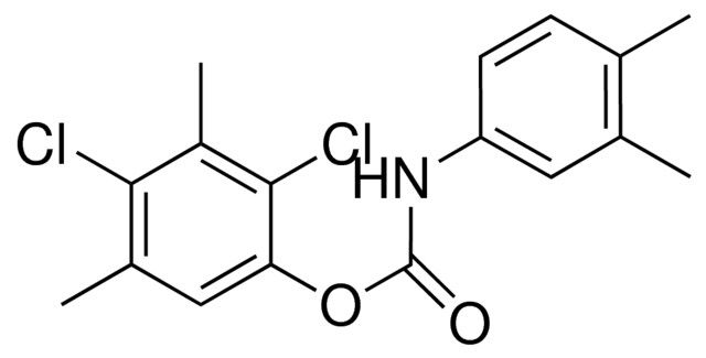 2,4-DICHLORO-3,5-DIMETHYLPHENYL N-(3,4-XYLYL)CARBAMATE