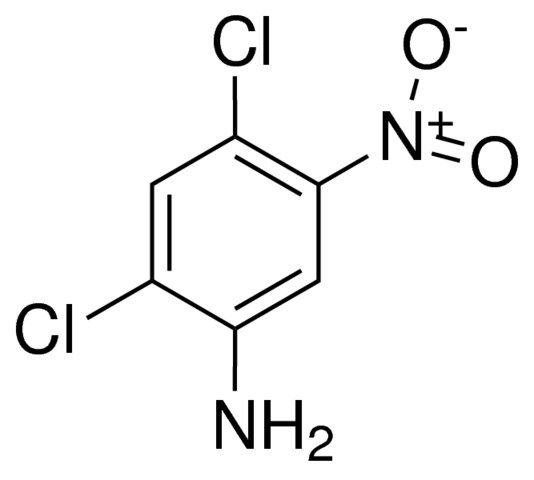 2,4-DICHLORO-5-NITROANILINE