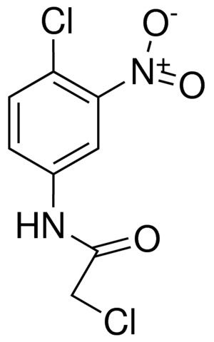 2,4'-CHLORO-3'-NITROACETANILIDE