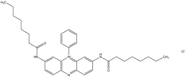 2,8-bis(octanoylamino)-10-phenylphenazin-10-ium chloride