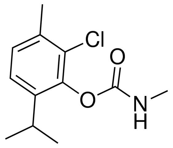 2-chloro-6-isopropyl-3-methylphenyl methylcarbamate