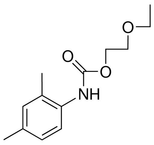 2-ETHOXYETHYL N-(2,4-XYLYL)CARBAMATE