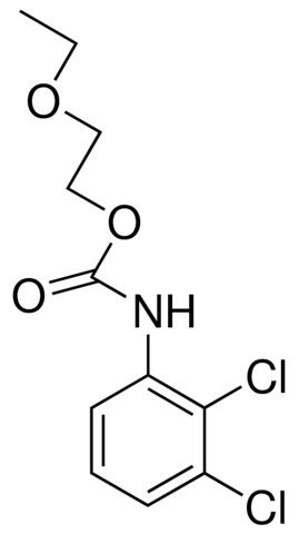 2-ETHOXYETHYL N-(2,3-DICHLOROPHENYL)CARBAMATE