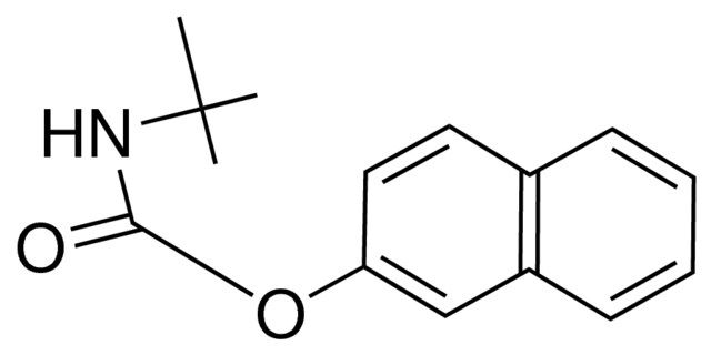 2-NAPHTHYL N-TERT-BUTYLCARBAMATE