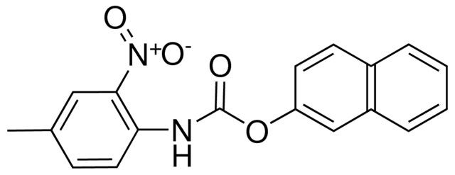 2-NAPHTHYL N-(4-METHYL-2-NITROPHENYL)CARBAMATE