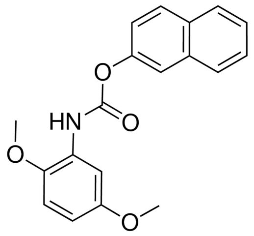 2-NAPHTHYL N-(2,5-DIMETHOXYPHENYL)CARBAMATE