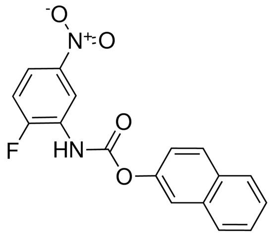 2-NAPHTHYL N-(2-FLUORO-5-NITROPHENYL)CARBAMATE