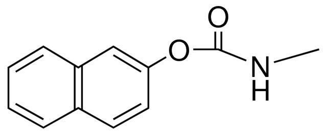 2-NAPHTHYL N-METHYLCARBAMATE