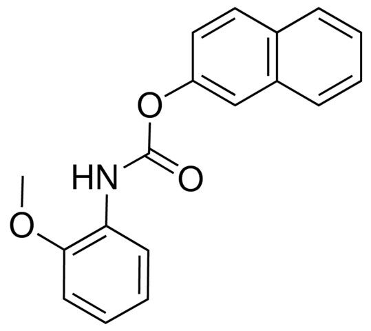 2-NAPHTHYL N-(2-METHOXYPHENYL)CARBAMATE