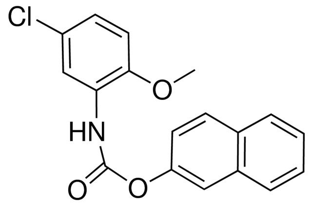 2-NAPHTHYL N-(5-CHLORO-2-METHOXYPHENYL)CARBAMATE