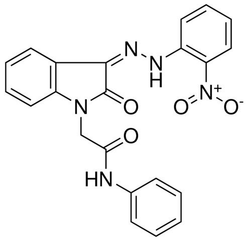 2-(3-((2-NITRO-PH)-HYDRAZONO)-2-OXO-2,3-DIHYDRO-INDOL-1-YL)-N-PHENYL-ACETAMIDE