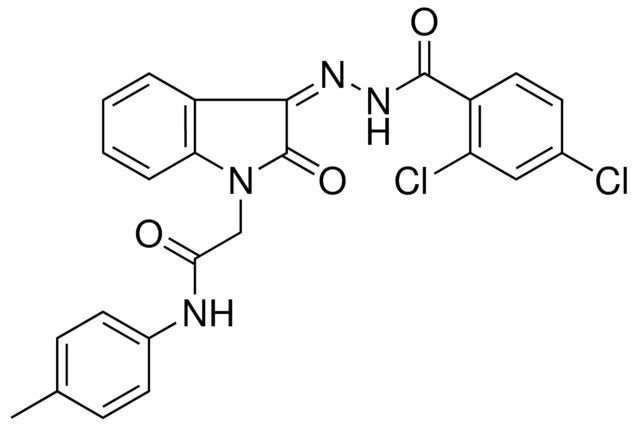 2-(3-((2,4-DICHLORO-BENZOYL)-HYDRAZONO)-2-OXO-2H-INDOL-1-YL)-N-P-TOLYL-ACETAMIDE