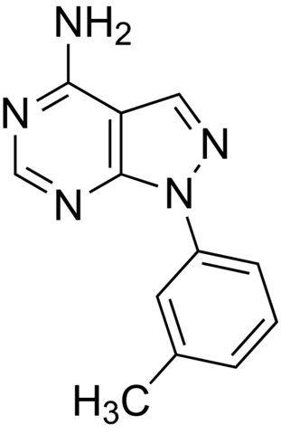 1-<i>m</i>-tolyl-1<i>H</i>-pyrazolo[3,4-<i>d</i>]pyrimidin-4-amine