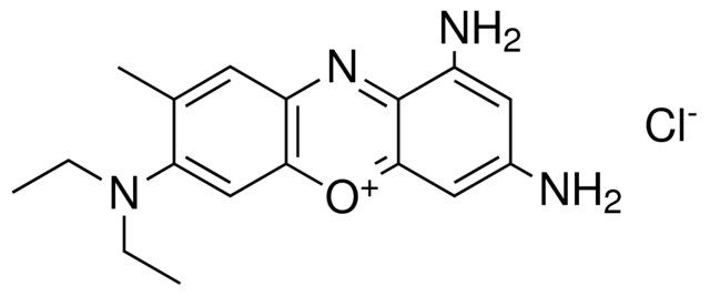 1,3-DIAMINO-7-DIETHYLAMINO-8-METHYL-PHENOXAZIN-5-YLIUM, CHLORIDE