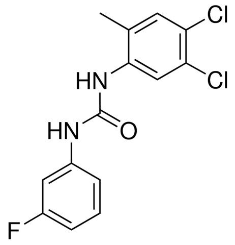 1-(4,5-DICHLORO-2-METHYLPHENYL)-3-(3-FLUOROPHENYL)UREA