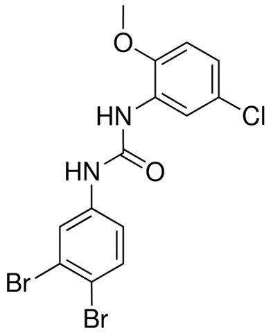 1-(5-CHLORO-2-METHOXYPHENYL)-3-(3,4-DIBROMOPHENYL)UREA