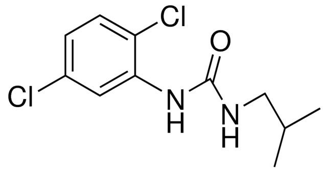 1-(2,5-DICHLOROPHENYL)-3-ISOBUTYLUREA