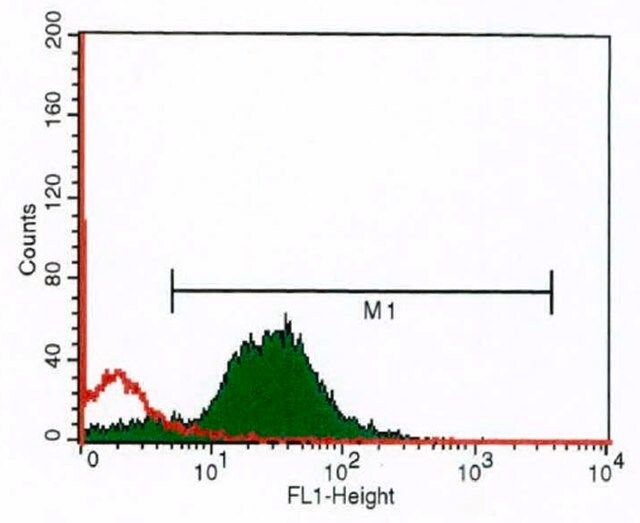 Anti-Fas (CD95/Apo-1) antibody, Mouse monoclonal