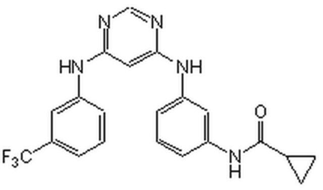 EGFR Inhibitor-CAS 879127-07-8-Calbiochem