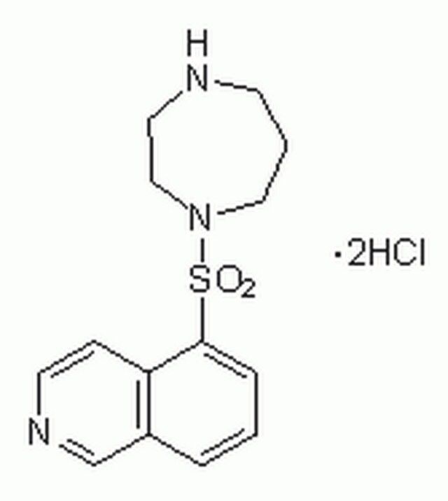 HA 1077, Dihydrochloride-CAS 103745-39-7-Calbiochem